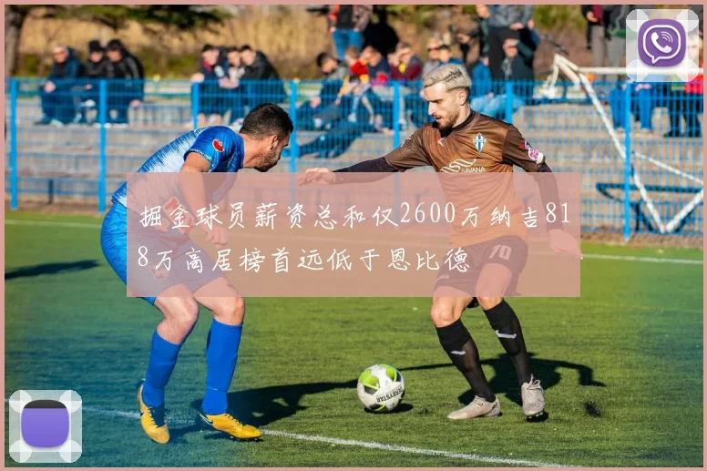 掘金球员薪资总和仅2600万纳吉818万高居榜首远低于恩比德
